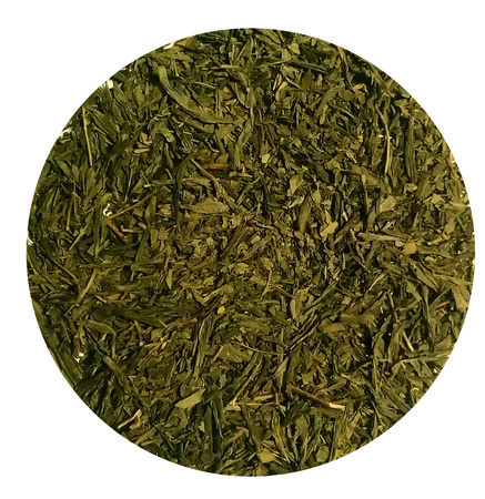 Sencha China